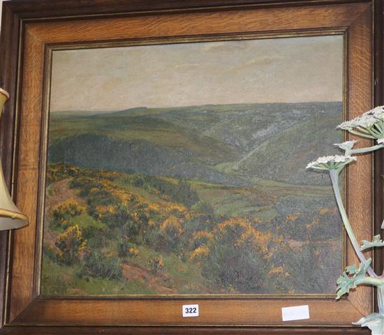 F. V. Wille, oil on canvas, heathland landscape, signed and dated 04 51 x 60cm